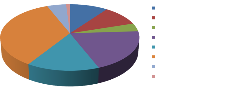 Nikki Menta lHealth Chart
